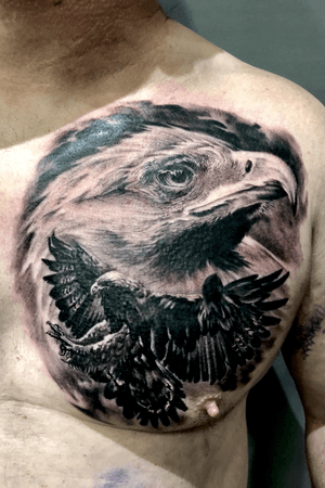 Golden eagle on the chest