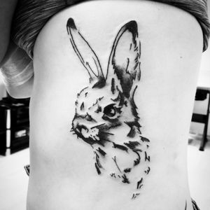 Sketchy rabbit