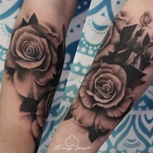 roses and cover 