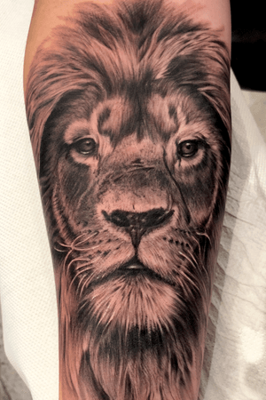 Lion on the forearm
