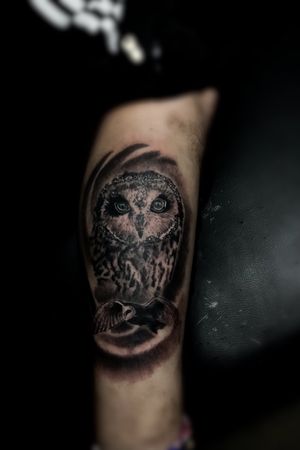 #owl #owltattoo ig: napptattoo30