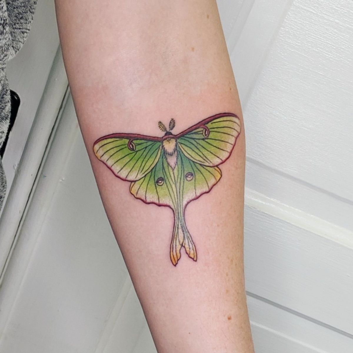 Tattoo uploaded by Lynn Marie • Luna moth #tattoo #tattoolife # ...