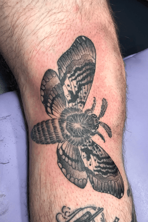 Moth #kneetattoo #blackwork #tattoo #ink #moth #mothtattoo 