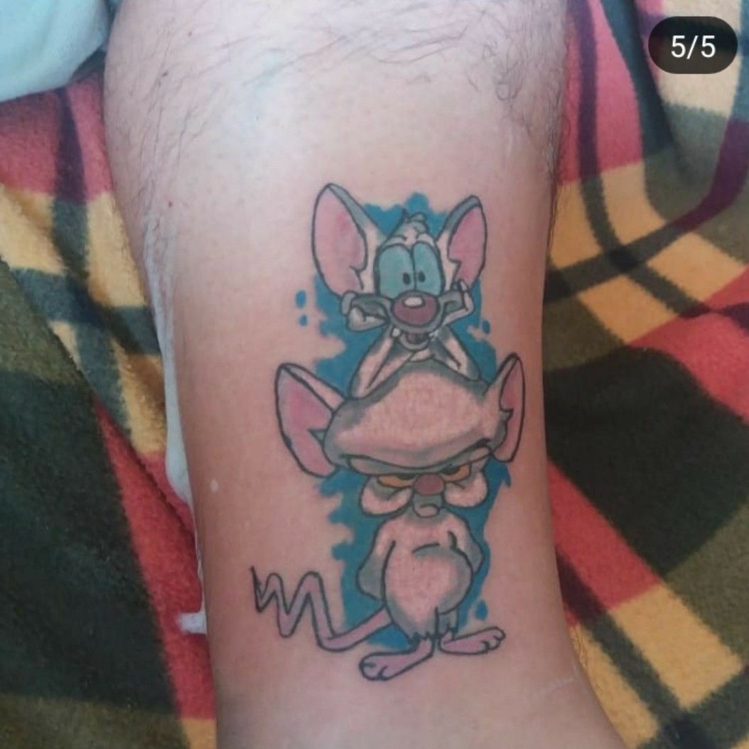 Pinky and the Brain tattoo  by me  Harry Catsis Bound By Design Denver  CO  rtattoos
