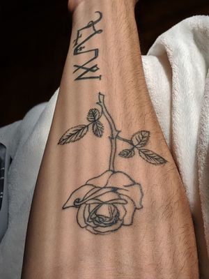 Outlined rose