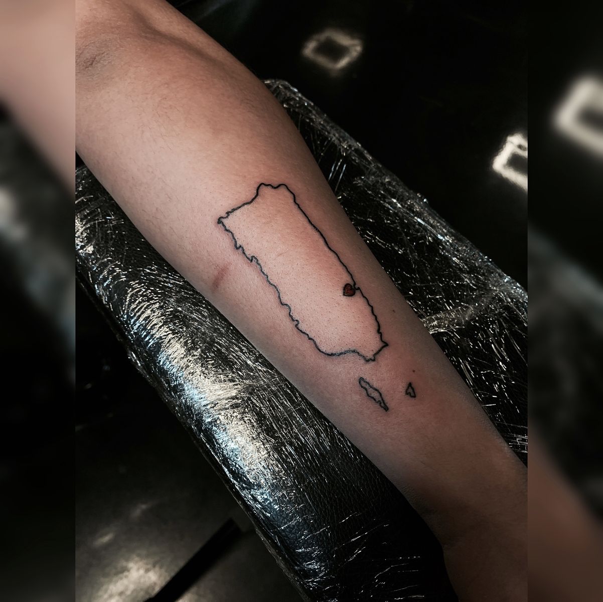 Tattoo Uploaded By Eric Adorno Puerto Rico En La Casa Today Got To Tattoo Daliz070 With The Outline Of The Motherland Gracias Un Millon Chica Done At Crackerjacktattoos