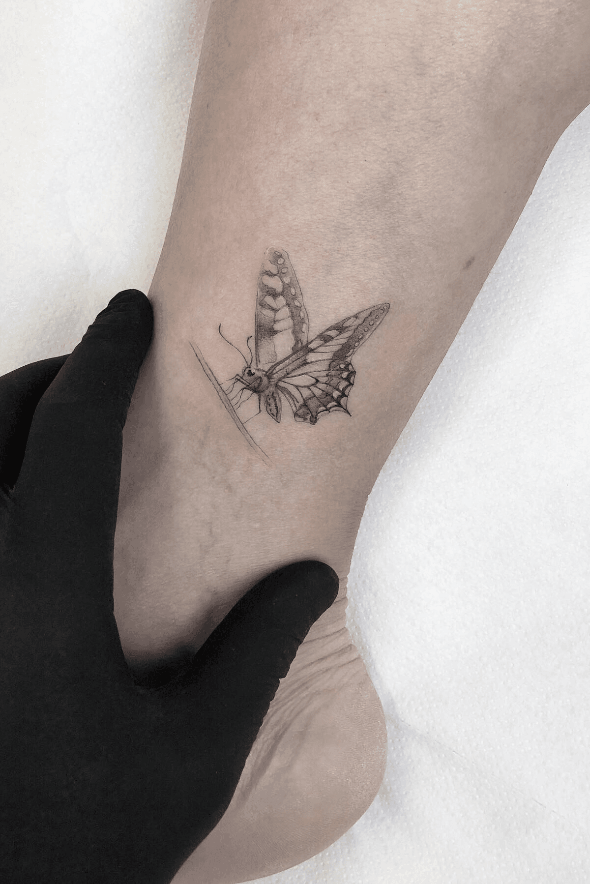 Swallowtail Butterfly temporary tattoo  Ali ChappellBates Art