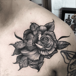 Will love to do more roses like this one ) done by Arsen #arsentts #rosetattoo #dotwork #only3rl #blackwork #whipshading #wroclaw #tattoooftheday #blacktattoo #DarkArt 