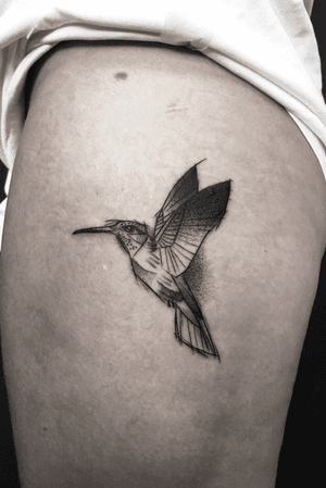 #hummingbird #tattoo #tattooing #tattoo #sketchtattoo #tattoos