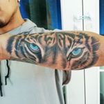 Tiger eyes Done in 5hrs. 📞916880779 📒 Facebook.com/zorbatattooart 