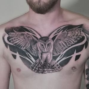 Owl. Chest done in 8hrs total time