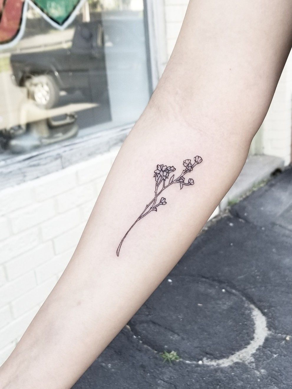 Jade plant tattoo  Plant tattoo Tattoos Tattoos for women