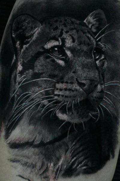 Leopard Black and Grey Tattoo... #leopardtattoo #leopard #blackandgreytattoo #blackandgrey #tatuaggiorealistico #tattooart #tattooblackandgrey #tatuaggio #inked #ink #realtattoo #animaltattoo #killerink 