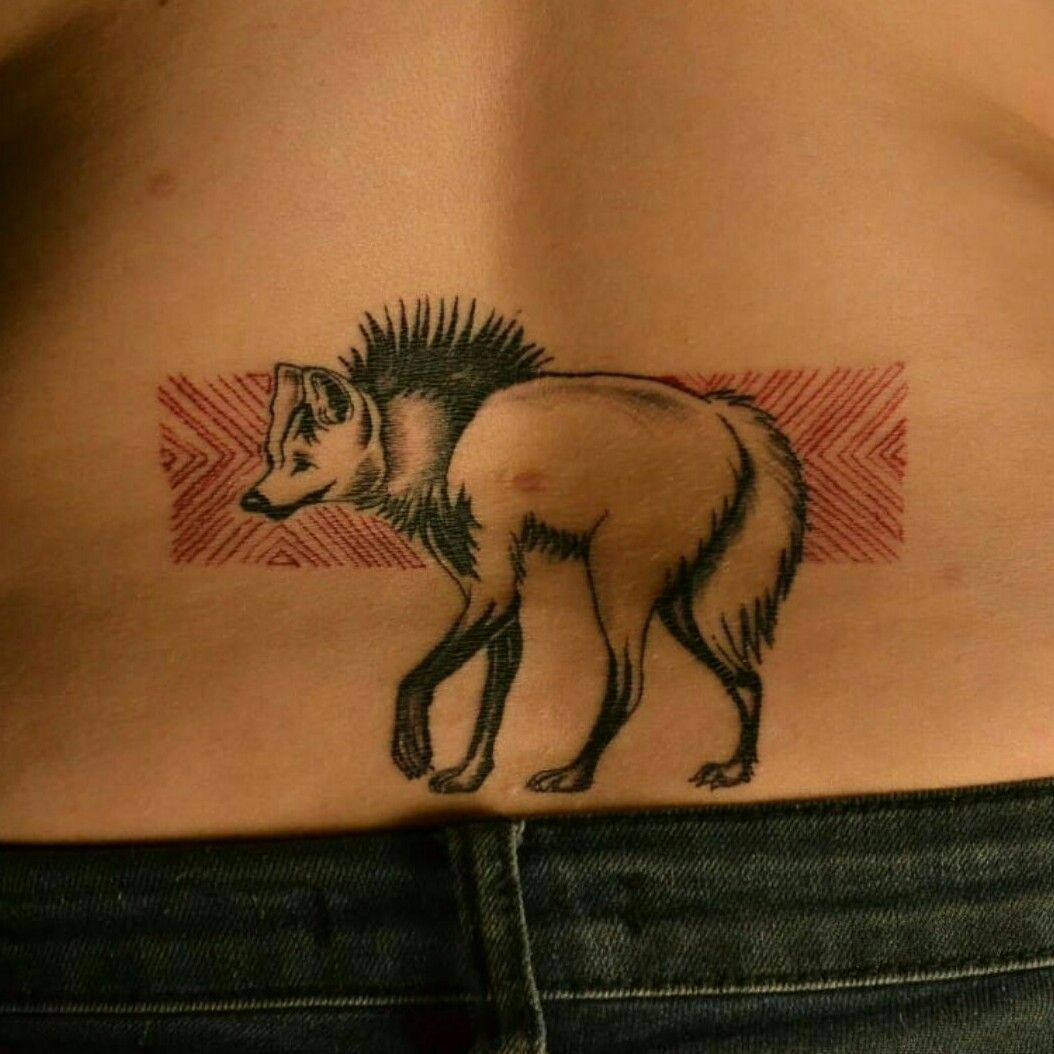 coyote head tattooTikTok Search