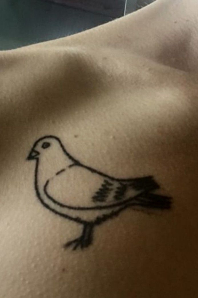 pigeon tattoo designs｜TikTok Search