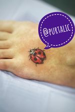 Micro ladybug