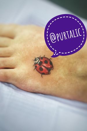 Micro ladybug