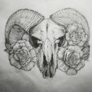 Ram skull/Aries drawing.