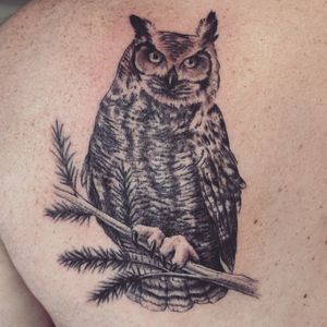 Black and grey realistic horned owl #tattoo #tattoolife #tattooart #saniderm #envyneedles #rosewatertattoo #tattoos #tattooartist #art #ink #inked #lynntattoos #inkedmag #portland #portlandtattooers #portlandtattoo #pdx #pdxartists #pdxtattooers #pdxtattoo #tattooed #tatsoul #fusiontattooink #naturetattoos #bestink #owltattoos #tattoosnob #stencilstuff #blackandgreytattoos #eternalink