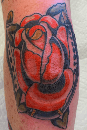 Elbow rose done today! Thanks Aidan!