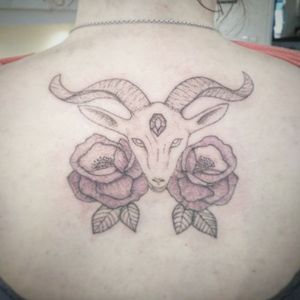Capricorn first session. One more to go. Upper back tattoo.