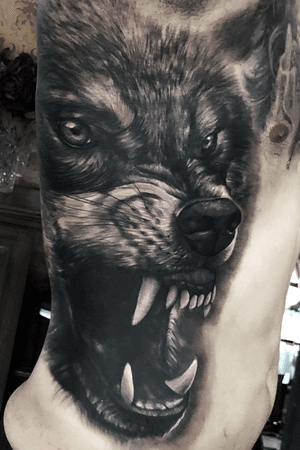 #b&g #portrait #tatuaje #bcntattoo #riga #latvia #barcelona #blackandgrey #wolf #ribs
