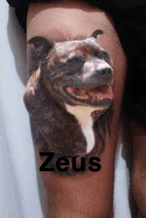 Very rough first idea need assistance from an artist want it black and white and the word Zeus to be in a different font and am happh for the artist to make changes to get the best possible tattoo