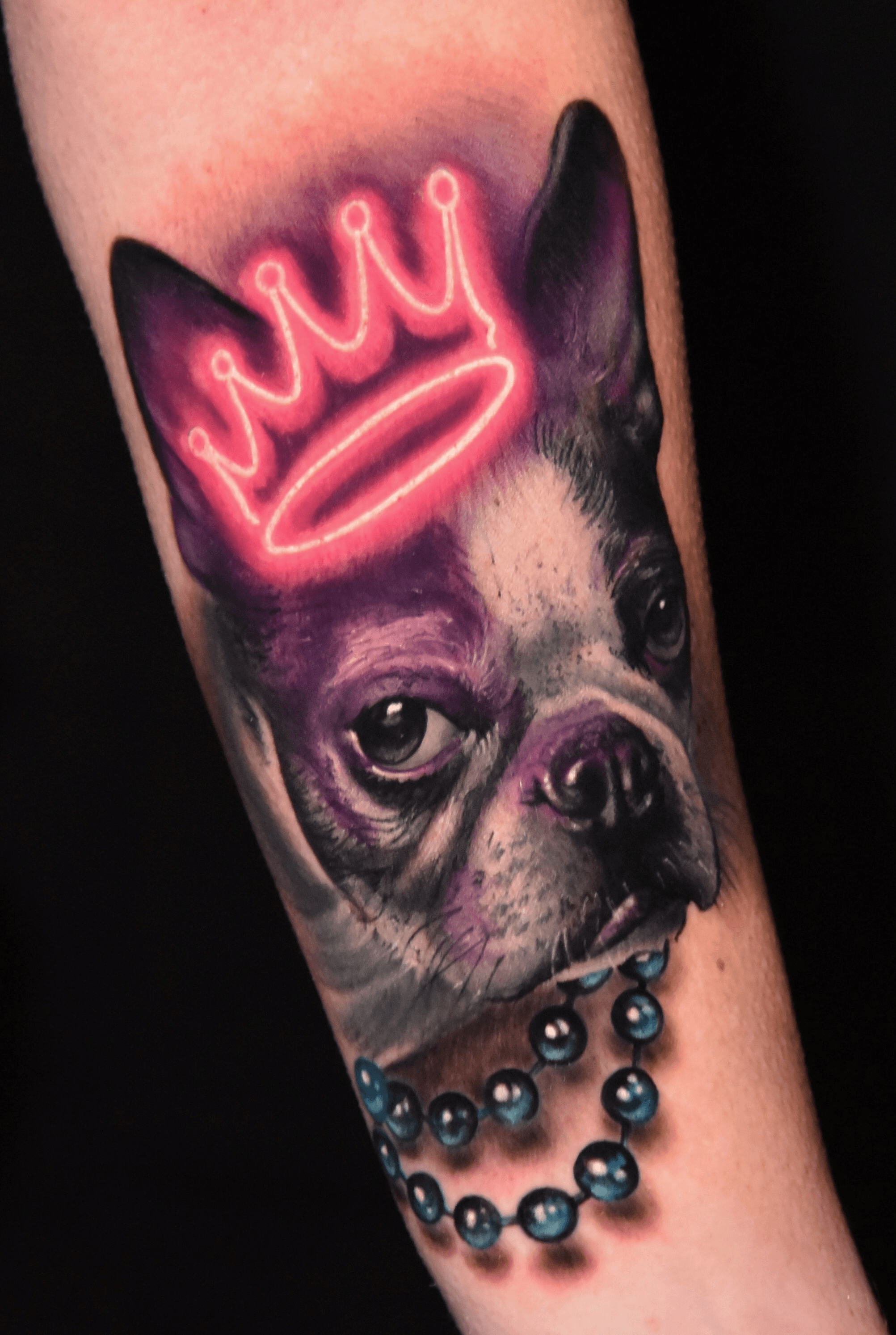tiny boston terrier tattooTikTok Search