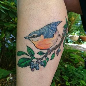 #birdtattoo #bird#healedtattoo #healed #tattoo#hamburg #qttr