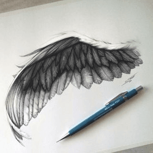Best sketch i’ve seen so far! #angelwings #angelwingssketch #backtattoo #angelwingstattoo