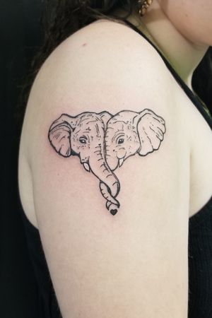 Two elephants. 