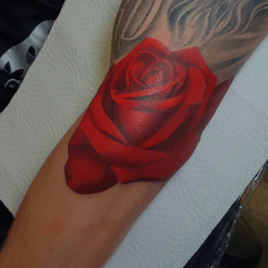 Red Rose #Rose #Colour #Realism