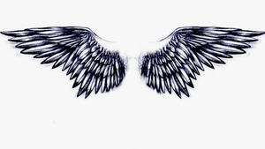 #angelwings #backtattoo #angelwingssketch #angelwingstattoo