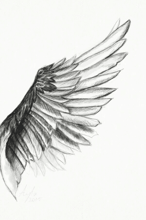 #angelwings #angelwingssketch #angelwingstattoo #backtattoo 