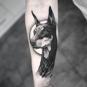 Blackwork dotwork doberman dog 