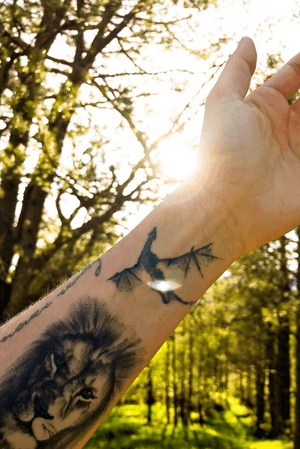 ... sōvegon #ink #tattoo #got #dragon #lion #gameofthrones #inked #fly #nature #sun