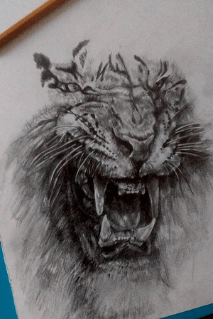 🦁 #tattoodesign #blackandgrey #tiger #mywork 