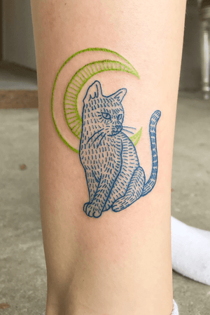 Moon cat 