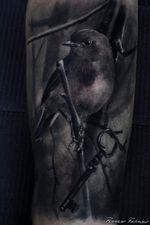 Black and Grey Realism Tattoo.. #birdtattoo #bird #realistic #realistictattoo #tatuaggiorealistico #tatuaggio #key #blanckandwhite #blancoynegro #blackandgrey #blackandgreytattoo #naturetattoo #fantasytattoo #arte #art 