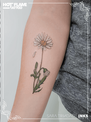 A daisy of tattoo 