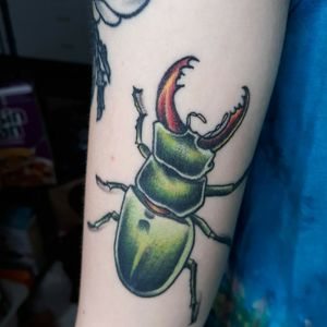 Healed bug #healedtattoo #bug #newschool #girlswithtattoos #nyc #nyctattoo #tattoos #brooklyn #newyorktattoo