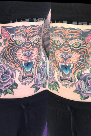 Tiger and roses