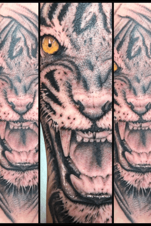 Tiger i did recently 