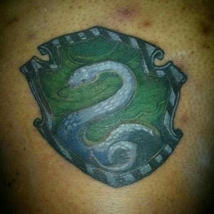 Slytherin Harry Potter Logo - Paint By Numbers - Painting By Numbers