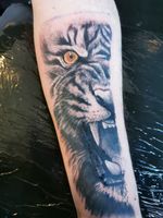 Tiger cover up tattoo 