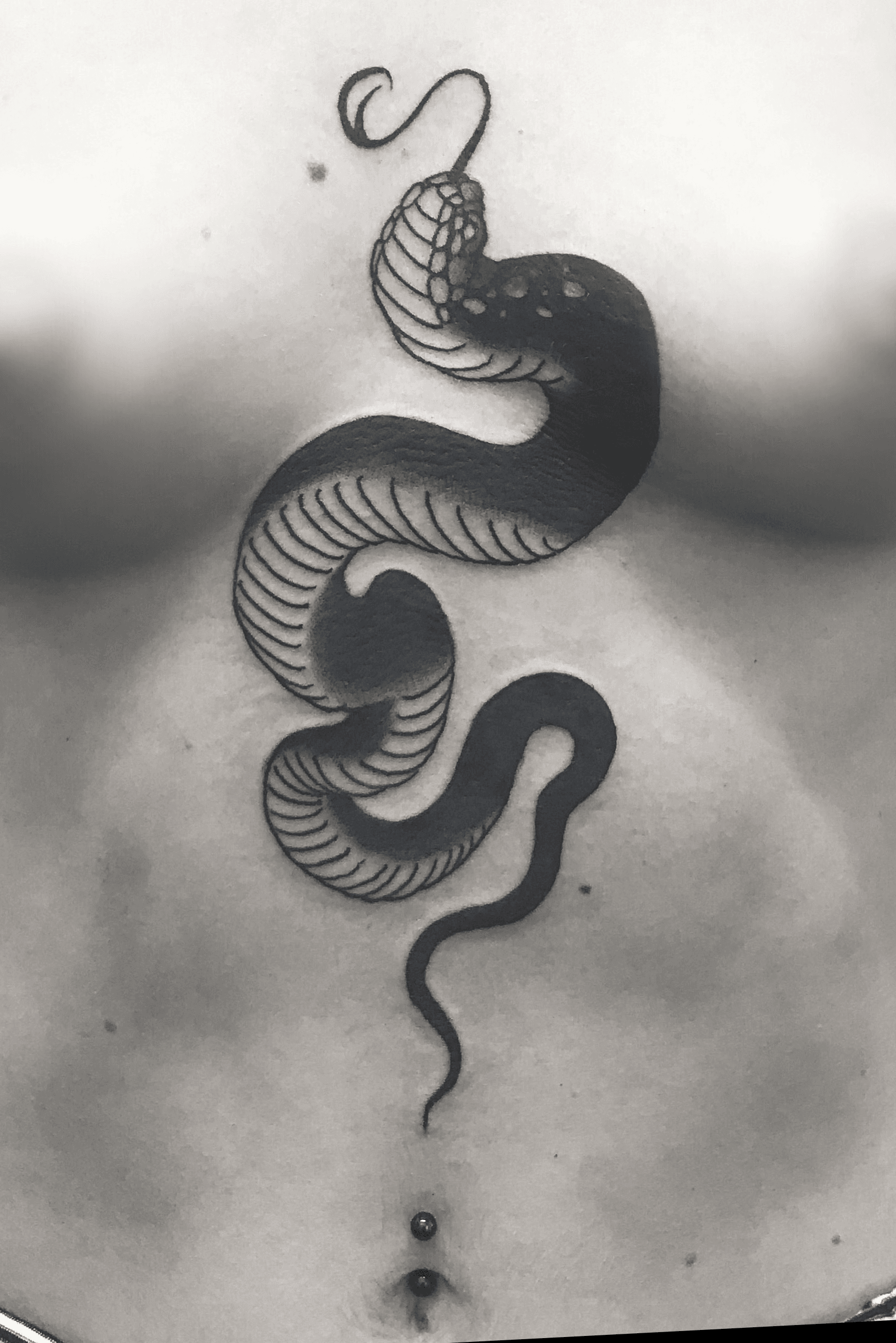 demon snake tattoo  demon snake tattoo acrylic painting  DAVID DAVIS   Flickr