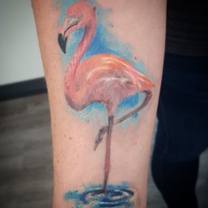 Pink flamingo fully healed. Watercolor illustrative 