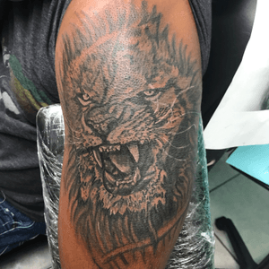 First session an first time doing a lion. What yall think #liontattoo #blackngray #blackngraytattoos 