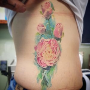 Illustrative painterly style peony roses fully healed 