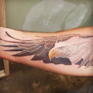 Bald Eagle in flight, custom forearm realism colour 